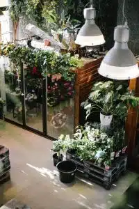 Blomsterhandler