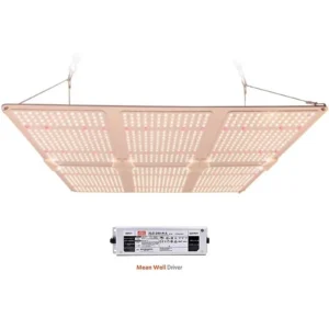 SunLight Quantum board - LED grow light 660Watt dimmer