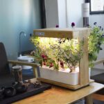 Ecoo Grower smart trädgård