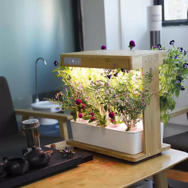 Ecoo Grower smart garden