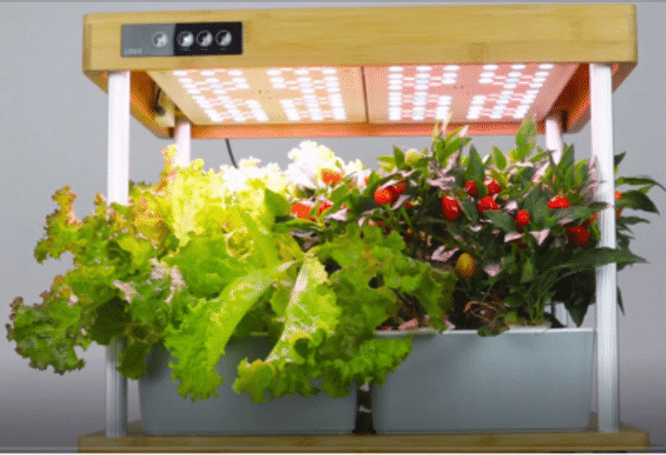 Smart garden - køkkenhave