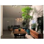 Plant light in living room