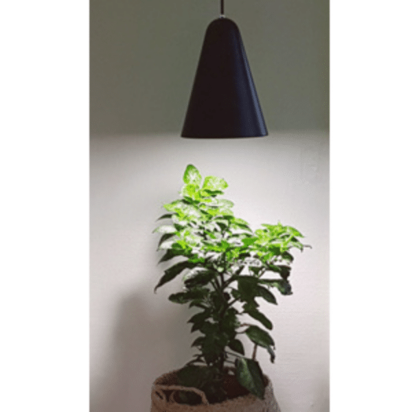 Hængelampe for plantevækst med pærer