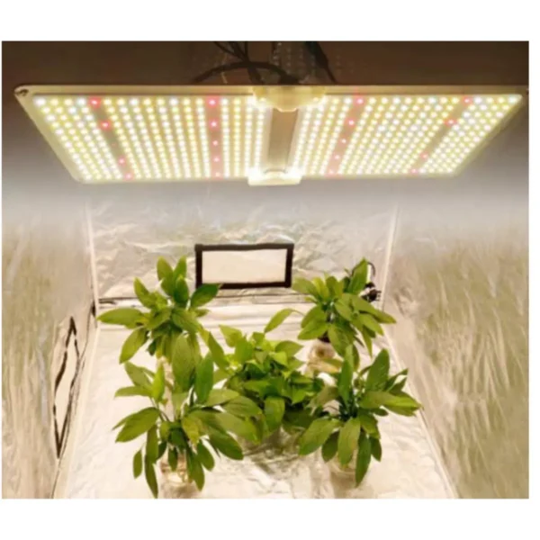 samsung quantum board växer ljus över växter