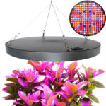 Rund Grolys taklampa