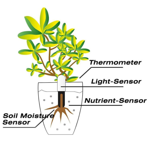 soil moisture meter