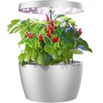 Ecoo Grower chiliplantor
