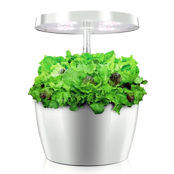 Smart Garden mit Salat