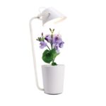 Smarter Garten mit Pflanzen