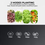 intelligent vegetable garden