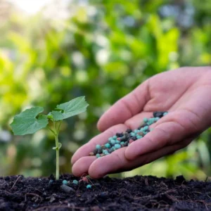 Big Plant Science A+B Liquid Fertilizer offer