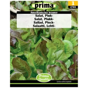 Lettuce seeds, Mixed