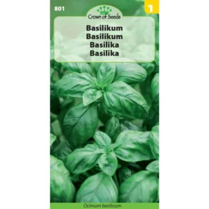 Green Basil seeds - perfect for the Italian kitchen