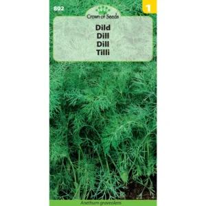 Dill seeds – herb