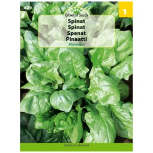 Spinach seed, Monnopa