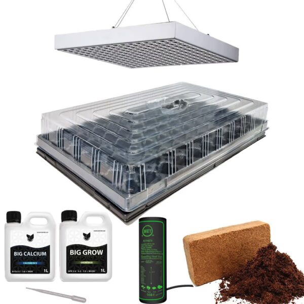 Intermediate starter package for pre-sprouting plants