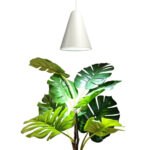 White growth lamp pendant