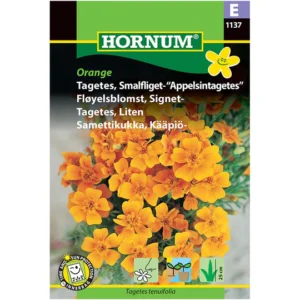 Tagetes schmallappig – Apelsintagetes | Orange