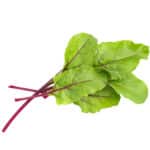 rødbete babyleaf