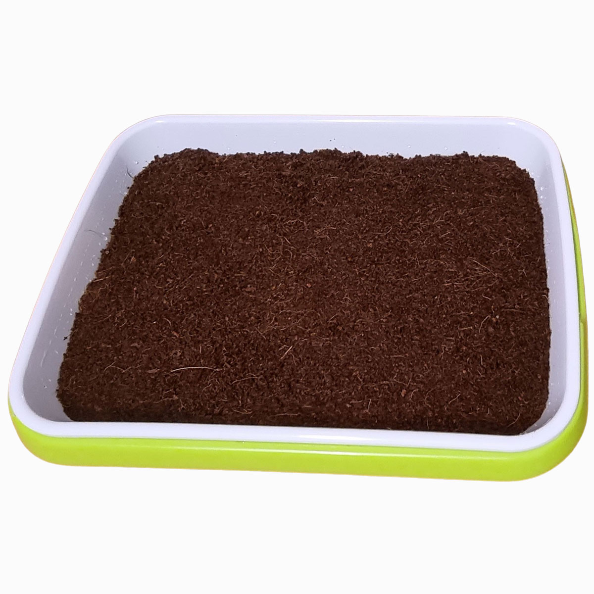 Forårs mellem pakke til mikrogrønt startpakke 12 kokosmuld kokosjord