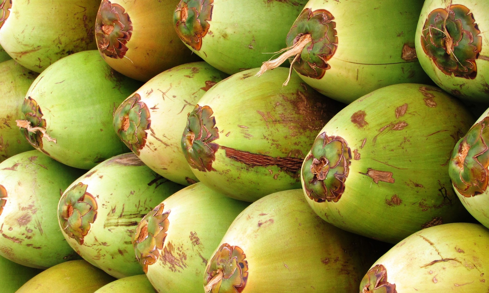 kokosnøtter