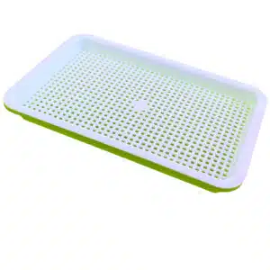 Small sprouting tray set for growing microgreens Green/white 22.7×14.5×2.5cm