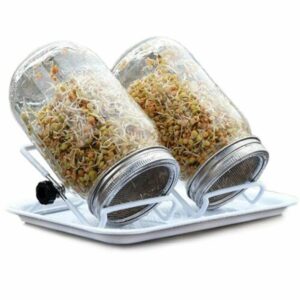 SpireGlas 2 x 500ml Mason m. rustfrit net, stativ og bakke til spire dyrkning