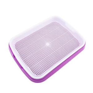 Sprouting tray for growing microgreens purple/white