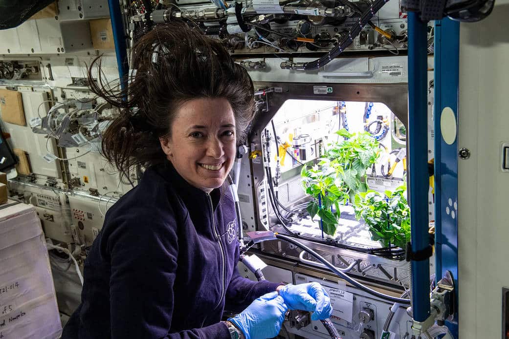nasa hydroponic