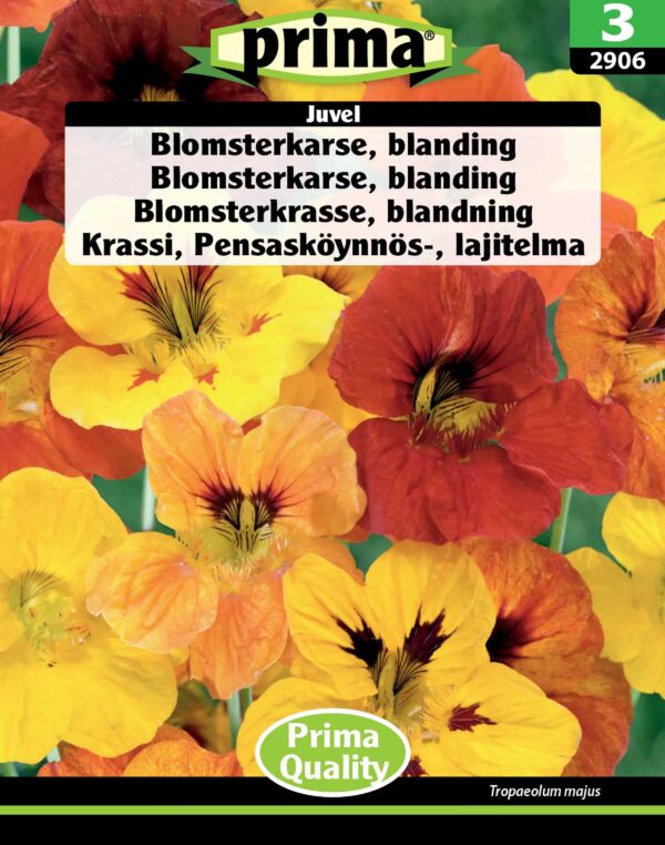Blomsterkarse frø
