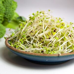 Ægte Broccoli Calabrese frø, MG, 100% Økologiske