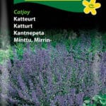 Kattemynte - catjoy frø