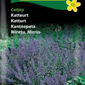 Catnip – catjoy, seeds – Catnip (D) Hornum