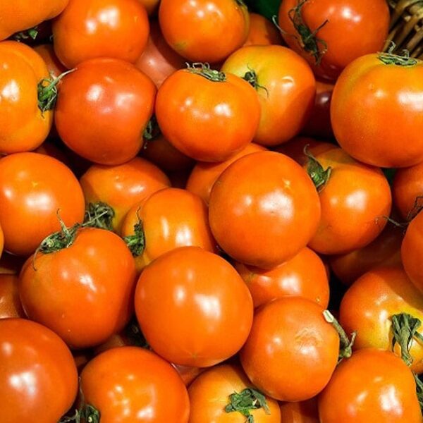 Orange körsbärstomater