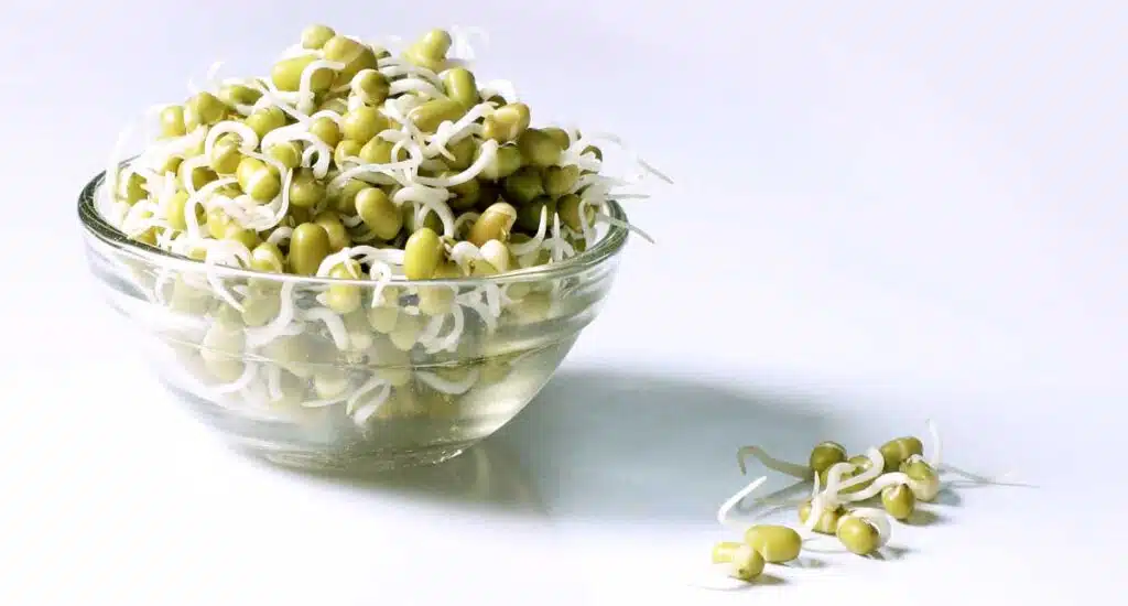 bean sprouts glass dish