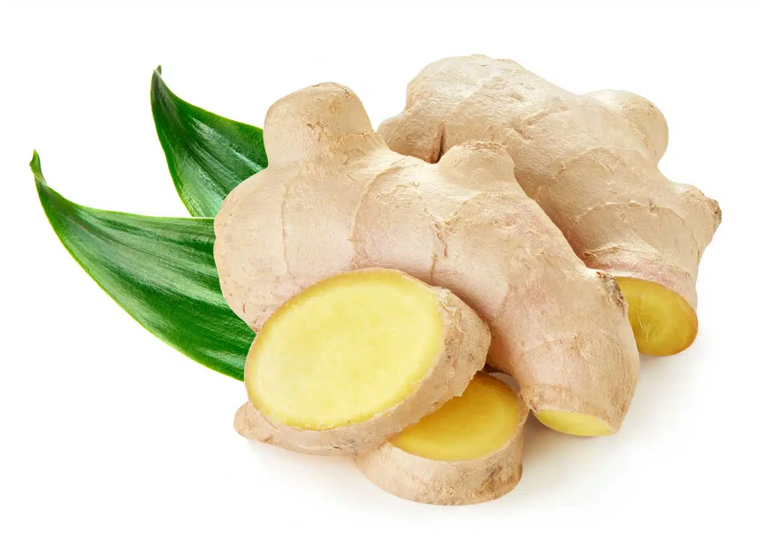 Grow ginger root