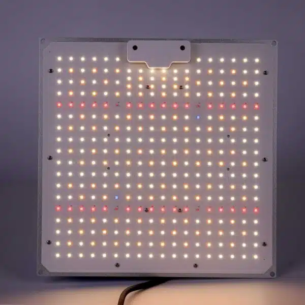 Quantum board grow light 100w