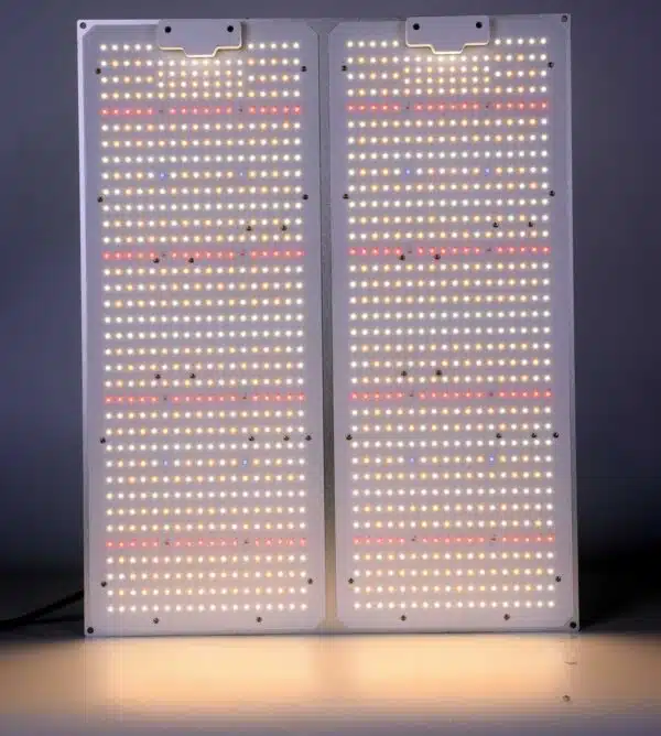 quantum board 440W lys