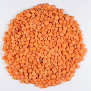 Red Lentil - Organic Seeds Microgreen