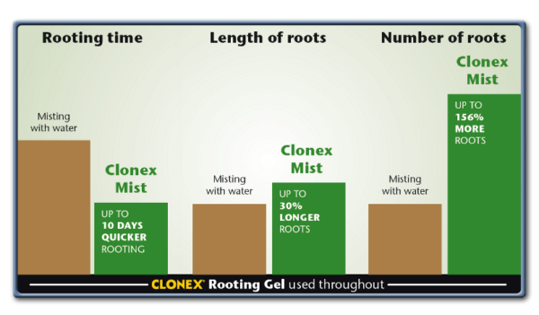 clonex mist 100ml