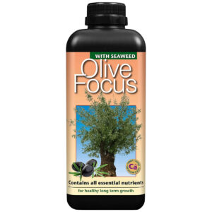 Olive Focus – Olivträdgödsel 1L