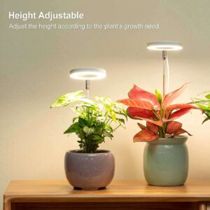 Round grow light with base White 5.5Watt & timer