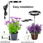 Vokselys for potteplanter, Sort lampe