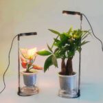 Vokselys for potteplanter, Sort lampe