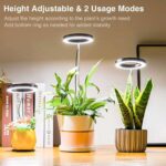 Vokselys for potteplanter, Sort lampe