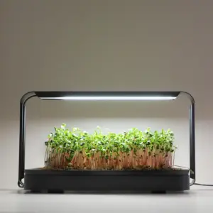 Microgreen Garden – Startpaket för hälsosam mikrogrönodling