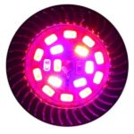 gu10 wachsen Licht