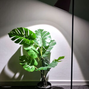 Capelo Black Floor lamp made of recycled metal | LED grow light