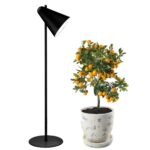 Capelo svart golvlampa