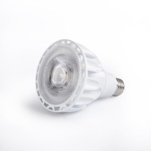 Spiral light bulb PAR30 E27 6500K (20Watt)